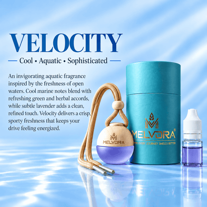 Velocity